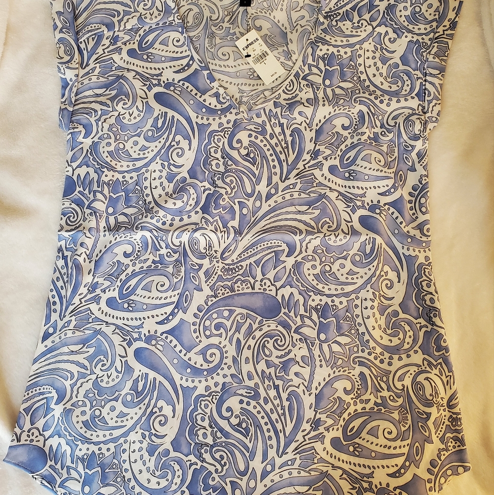 Express dress shirt
